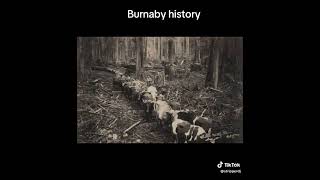 Cool i repost another Burnaby BC History  cool ...past ..08/23/26.. Mining/forestry..wow