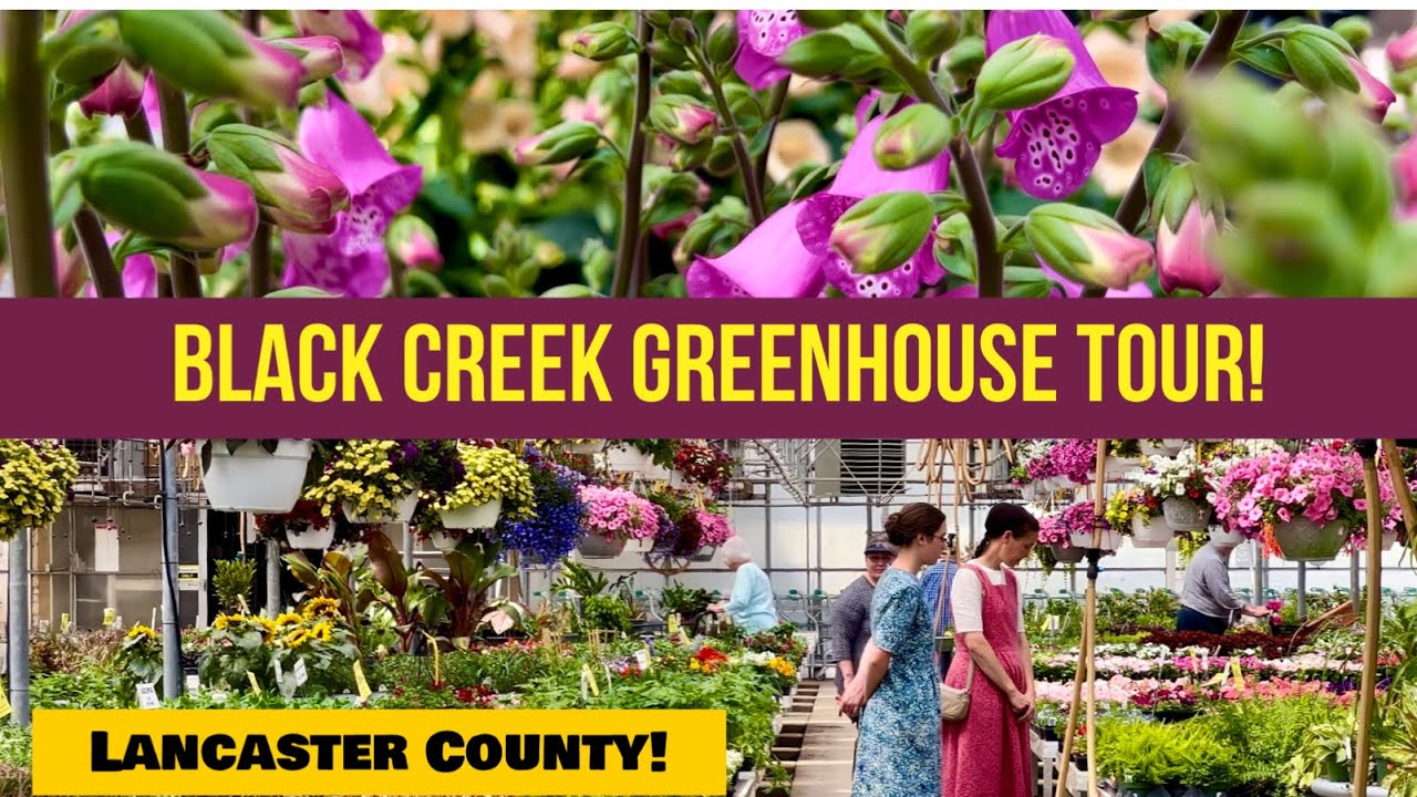 Black Creek Greenhouse Tour! East Earl Lancaster County! - YouTube
