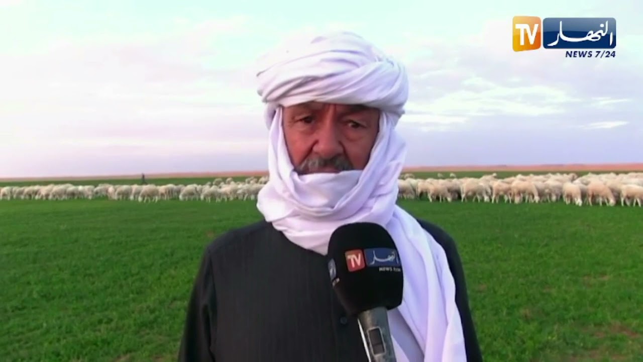 المنيعة : إستصلاح الأراضي المخصصة للرعي..نحو تجقيق الإكتفاء الذاتي من اللحوم