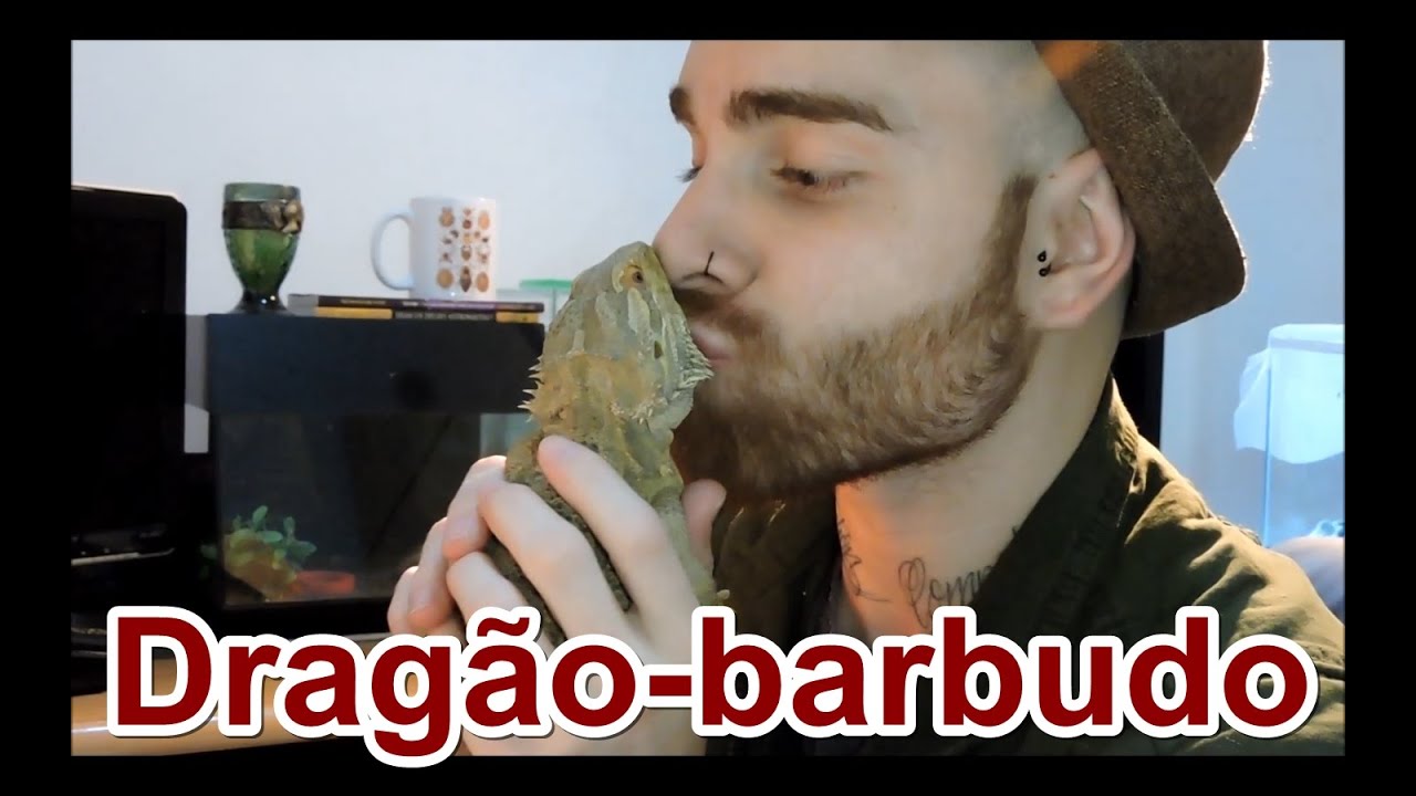 Papo de Biólogo: Dragão-barbudo (Pogona vitticeps)