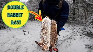 Rabbit Snaring Hack! Watch and Learn.