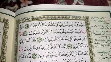 كيف نطبق قواعد التجويد عند قراءة سورة المؤمنون(ج٨)