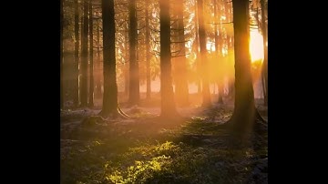 آيات من الذكر الحكيم من سورة إبراهيم.