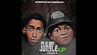 Bobstar no Mzeekay - Uzowapholisa (Gospel Gqom)