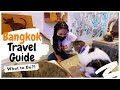 What to do in Bangkok 2022 | Cat Cafes &amp; Malls