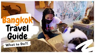 What to do in Bangkok 2022 | Cat Cafes &amp; Malls