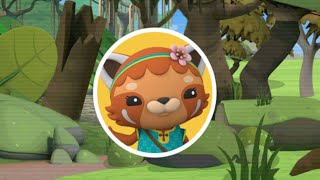 Octonauts Above & Beyond - Discovery Mission - Explore The Forest Habitat - Learn Animals Names
