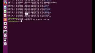 Linux file system permissions using chmod command | Linux Tutorial #19