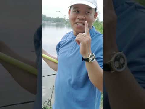 Câu Cá Hồ Bán Thự Nhiên #Shorts