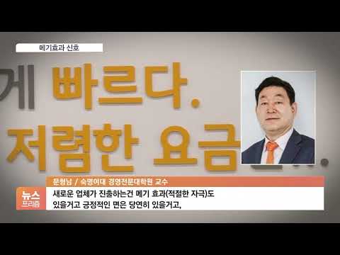 알뜰폰 &amp;#39;대어 메기&amp;#39; 푼다…통신3사 &amp;#39;중간 요금제&amp;#39; 재수