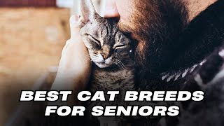 8 Best Cats for Seniors by Pets Life 155 views 2 months ago 8 minutes, 2 seconds