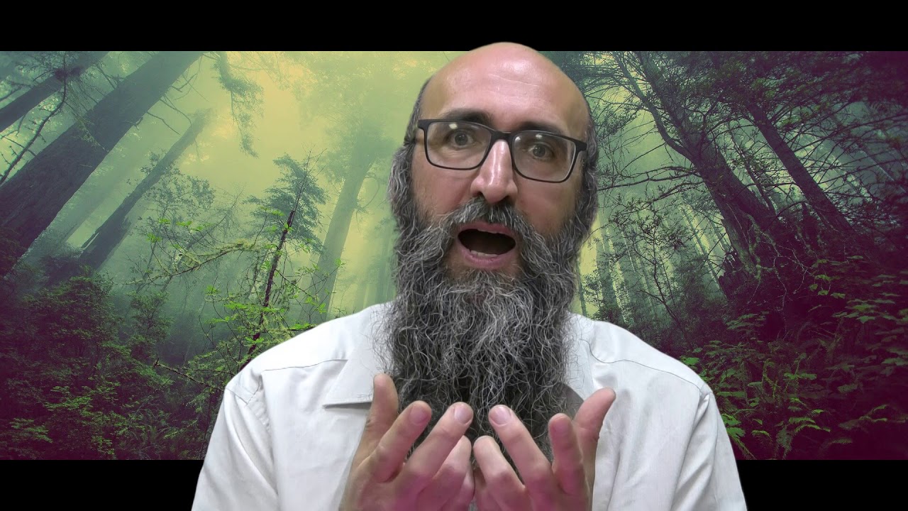 ON VA CHANGER LE MONDE 10 - Le secret des 6 Tsadikim, c’est d’être unis: 2 par 2 - Rav Itshak Peretz