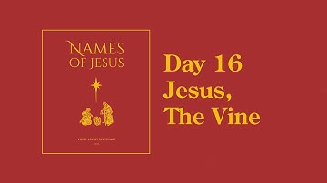 Day 16 | The Vine - The Names of Jesus Advent Devotional