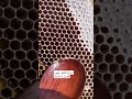 النحل تبني العيون سداسية لتجميع اكثر كمية من العسل 