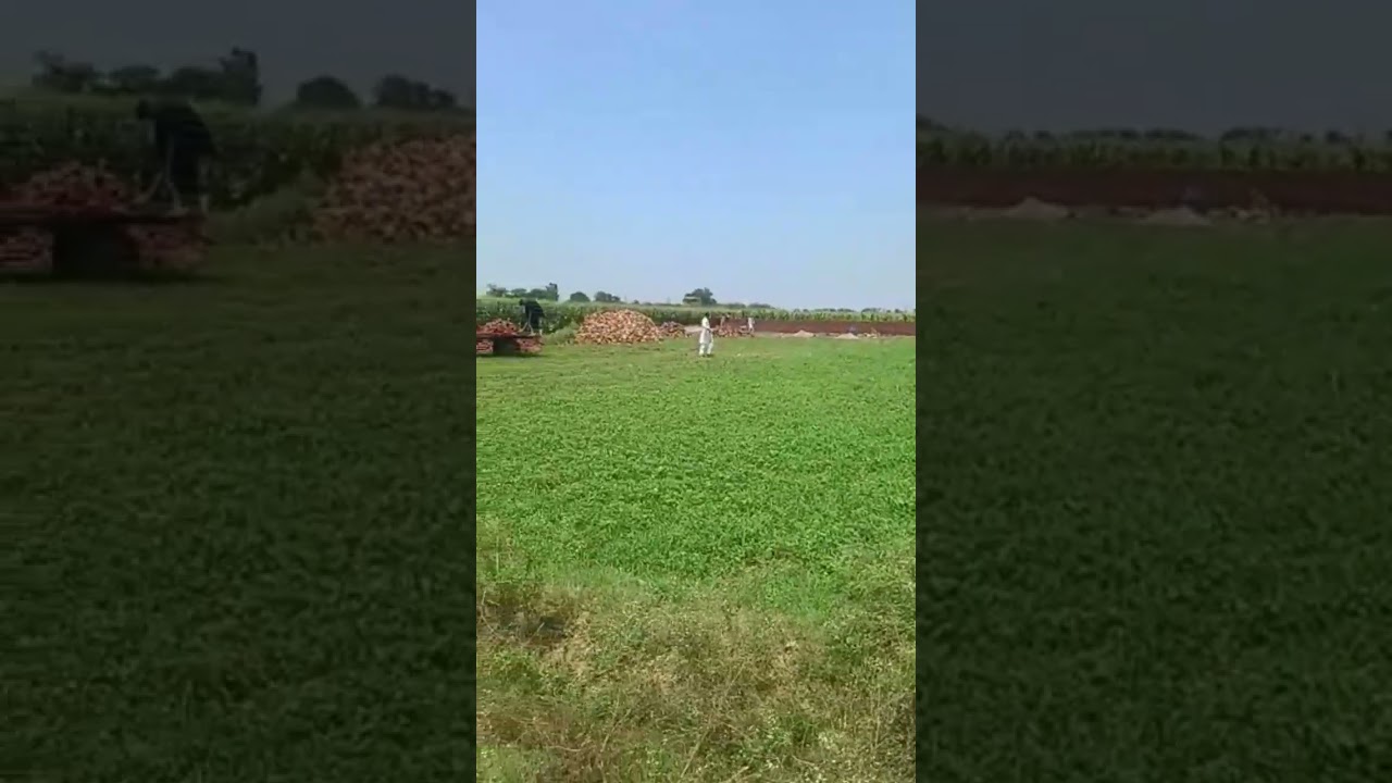 RAQBA FOR SALE IN BHAINI ROAD MORE DETAILS CONTACT ME FAZAL ELAHI 0321-4797066 FR REAL ESTATE