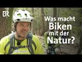 Mountainbiken schadet der natur nicht mehr als wandern konflikte und lsungen  gut zu wissen  br