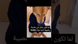 ? tiktok maroc نزار سبيتي الياس المالكي nizar sbaiti ilyas el malki روتيني اليومي