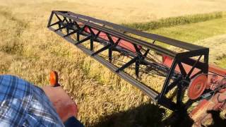 Swathing wheat
