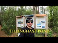 Tillinghast Pond: The Calm Before the Journey - Hiking West Greenwich, RI