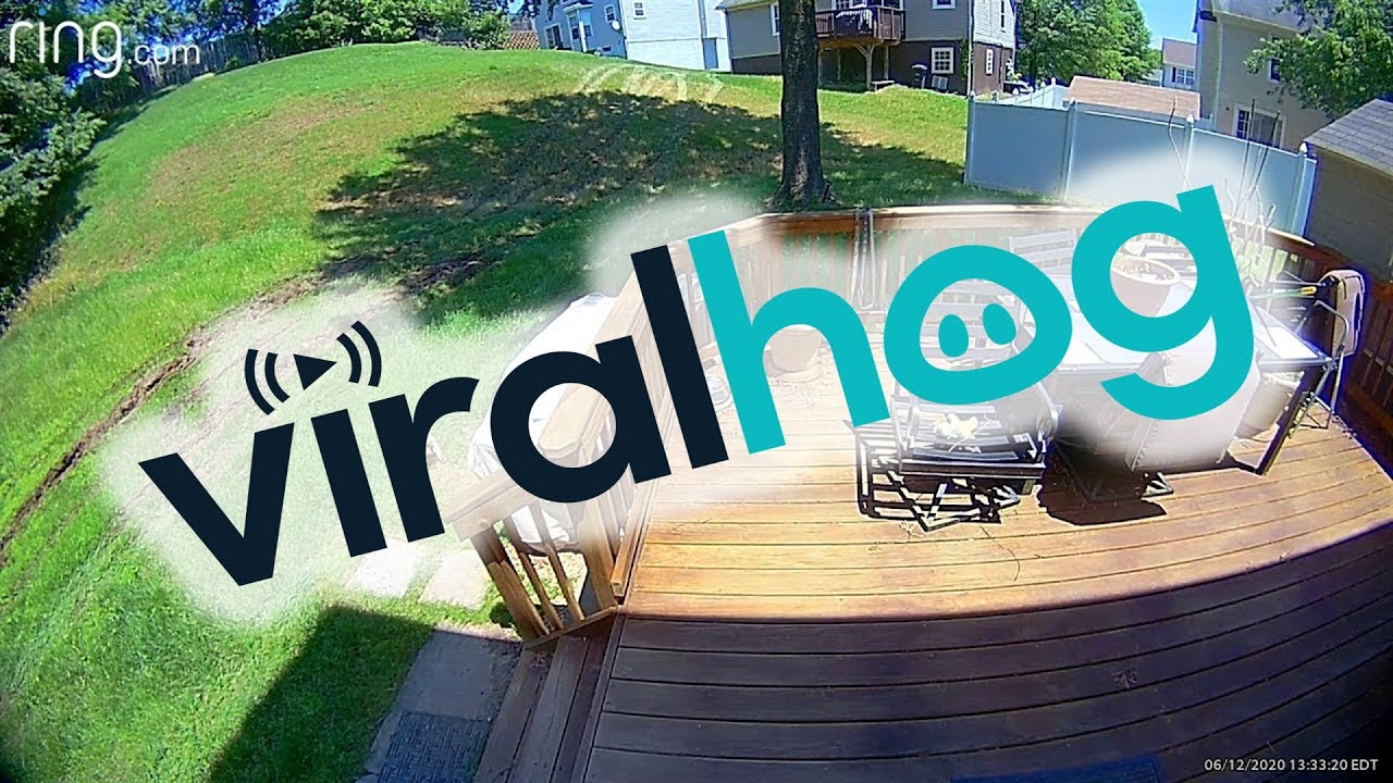 Police Chase Tears Through Backyard || ViralHog - YouTube