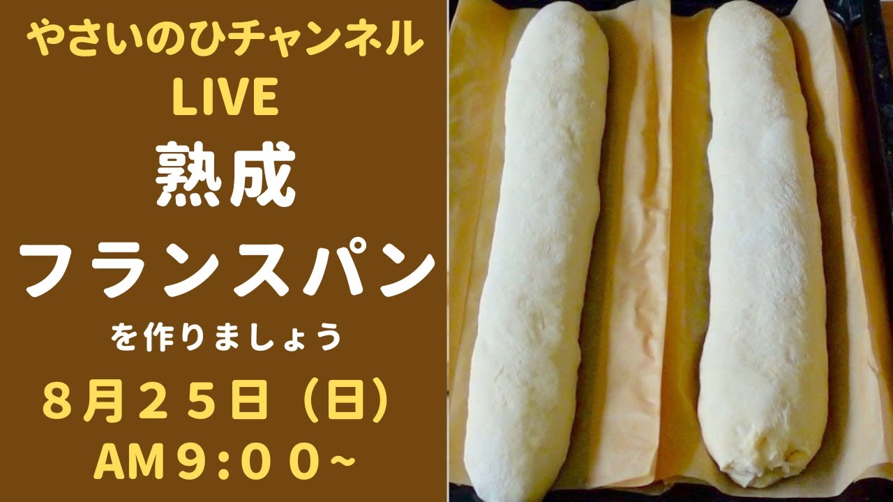パン作りライブ）熟成フランスパンを作ります！冷蔵庫で10時間発酵
