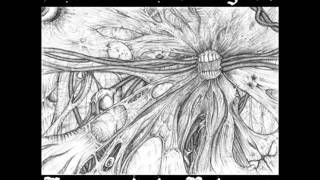 Cannibalingus - Carry on Carrion