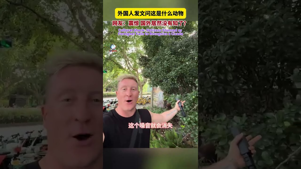 Cultural Shock Netizens Stunned As Foreigner Fails To Recognize A Cicada