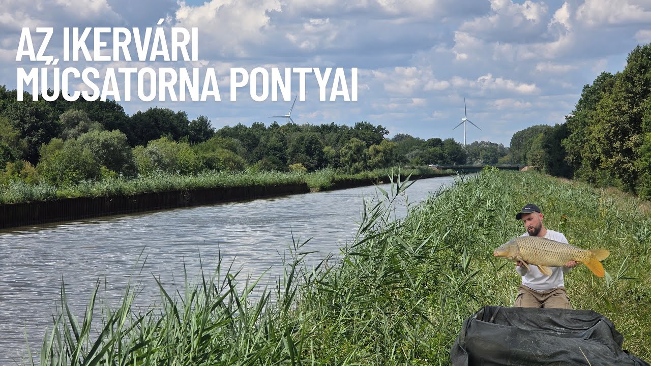 Az Ikervári műcsatorna pontyai - (majdnem) 2x24 óra... mire elég?