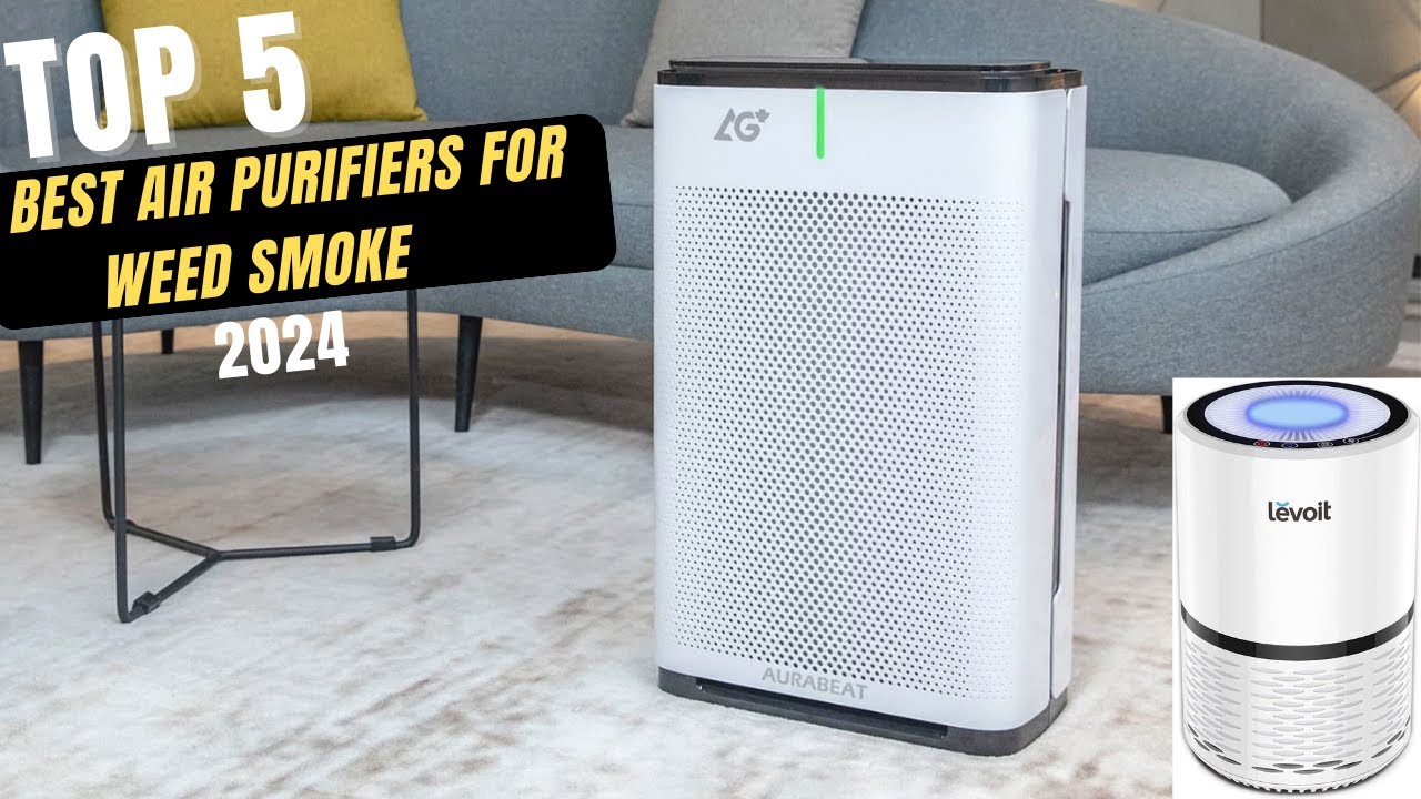Best Air Purifier For Weed Smoke Best Air Purifiers for Weed Smoke 2024 - YouTube