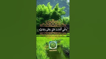 #قرآن #قران_كريم #قرآن_كريم #islamic_video #quran #تلاوة_خاشعة #islam