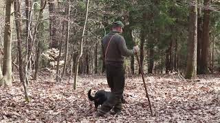 Ako naučiť poľovného psa správne vodenie na remeni?- LOVTEK, s Mgr.Jozef Zatlukal