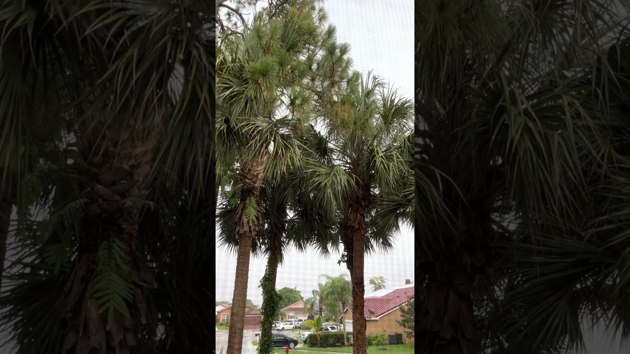 Rain Storm 12 minutes