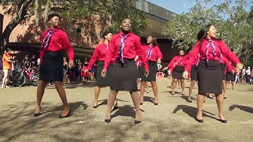 Lambda Psi Chapter of Delta Sigma Theta Sorority, Inc. Founders Day Presentation