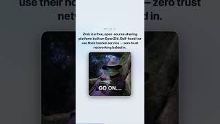 Zrok: The Open-Source ngrok Alternative Devs Are Switching To (Free Self-Hosted Tunnels) #shorts