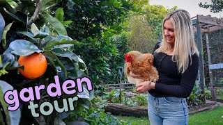 Inspiring Backyard Self-sufficient Garden Tour in Northland, New Zealand // Edible Garden Tour