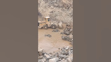 Bobcat hardworking with Rocks #shorts #youtubeshorts #bobcat #stonecrusher #viralvideo #automobile