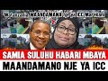 Samia Suluhu MATATANI MAANDAMANO Nje Ya ICC WATANZANIA Marekani WAANDAMANA Hadi MAHAKAMANI