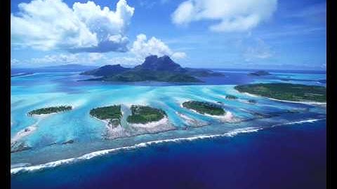 Mustard Pimp and Blatta Inesha - Pigeon Flu