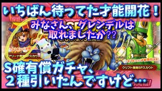 【ドラクエタクト】アリーナとクリフトの才能開花が楽しみ過ぎる！せっかく来たので、キングレオもS確引きます！が…！！