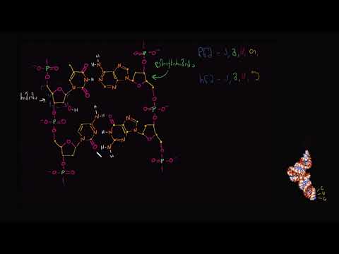 რნმ-ს მოლეკულური სტრუქტურა