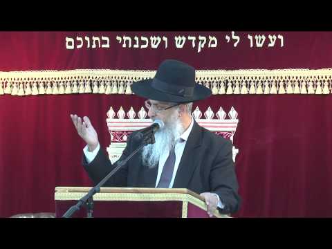 ביאור הגדה של פסח חלק ג | הרב יורם סרי