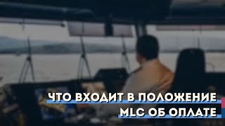 Что входит в положение MLC об оплате?