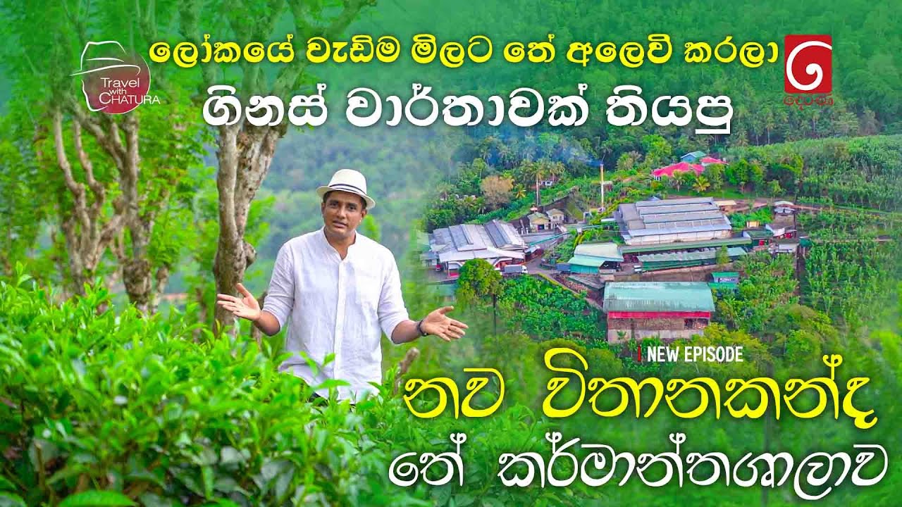 ලෝකයේ වැඩිම මිලට තේ අලෙවි කරලා ගිනස් වාර්තාවක් තියපු නව විතානකන්ද තේ කර්මාන්තශාලාව
