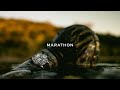 Marathon Watch Company - Engineered for the Field, Not Your Display Case