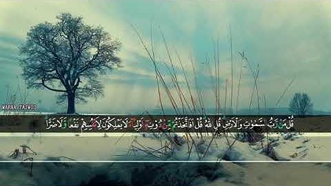 Surah Ar Ra’d Hamzah Elhabashy II سورة الرعد حمزة الحبشي