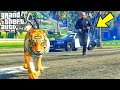 Tiger escapes from the Zoo in GTA 5!!!! MALAYALAM