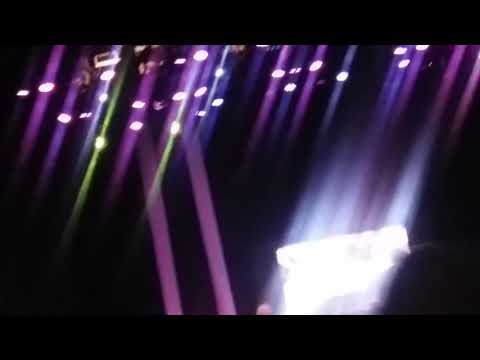 მამუკა მესხი mamuka meskhi