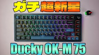2026 Superstar Newcomer Appears] Ducky OK-M Review [Great Value