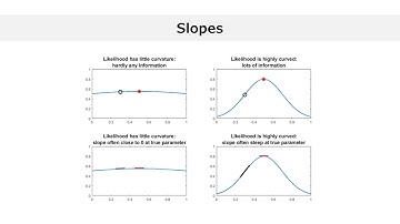 Fisher information explained in 5 minutes