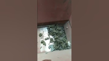 #fcnfm FCNFM Planetary Gear Reducer Shredder: Smooth Operation for Reliable Performance.